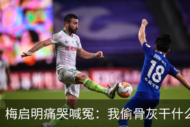 梅启明痛哭喊冤：我偷骨灰干什么？那是我亲妹!