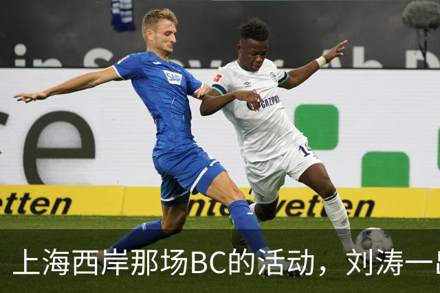 上海西岸那场BC的活动，刘涛一出来，评论区就分成两拨人吵起来了