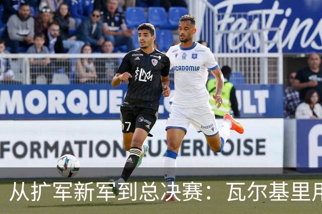 从扩军新军到总决赛：瓦尔基里用两年写下的建队答案