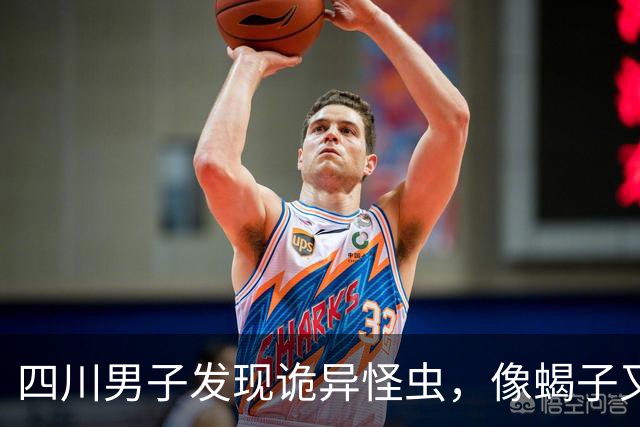 四川男子发现诡异怪虫，像蝎子又像蜘蛛！网友：20年没见过了！
