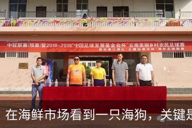在海鲜市场看到一只海狗，关键是还只要600，网友当场走不动道了：这只新鲜，给我包起来！