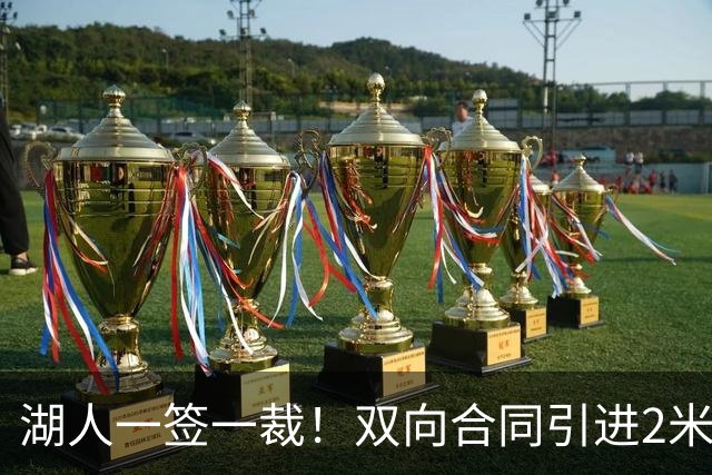 湖人一签一裁！双向合同引进2米13中锋洛夫林 放弃侧翼奥凯雷克