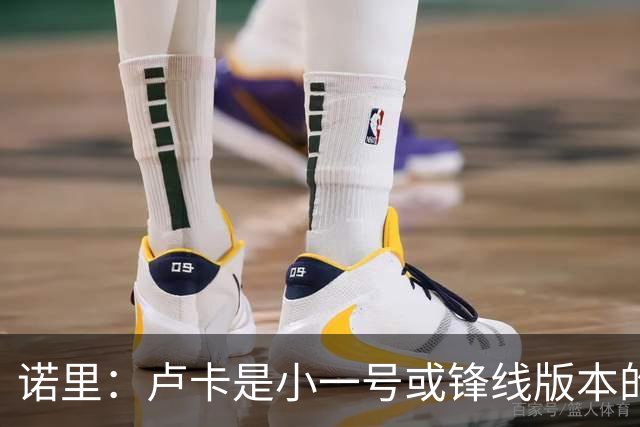 诺里：卢卡是小一号或锋线版本的约基奇，他总能做出正确选择