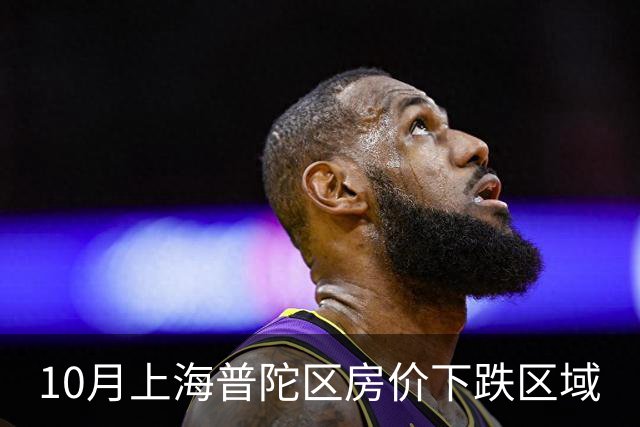 10月上海普陀区房价下跌区域
